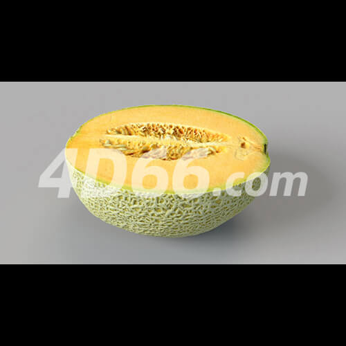 哈密瓜凤梨柠檬苹果牛油果猕猴桃荔枝石榴梨桔子芒果香瓜C4D模型