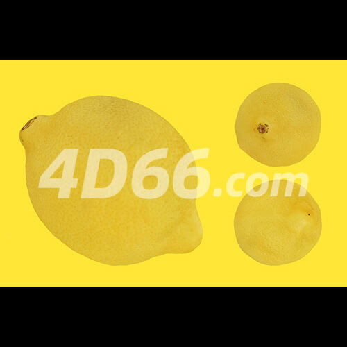 哈密瓜凤梨柠檬苹果牛油果猕猴桃荔枝石榴梨桔子芒果香瓜C4D模型