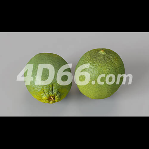 哈密瓜凤梨柠檬苹果牛油果猕猴桃荔枝石榴梨桔子芒果香瓜C4D模型