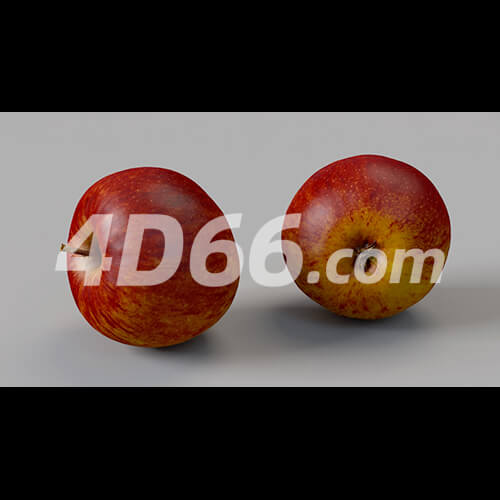 哈密瓜凤梨柠檬苹果牛油果猕猴桃荔枝石榴梨桔子芒果香瓜C4D模型