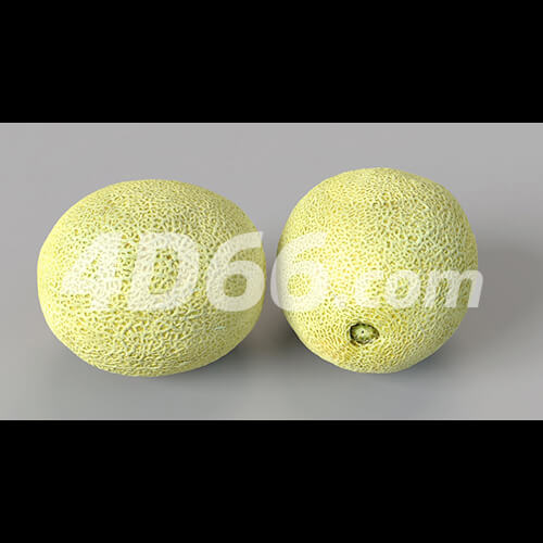 哈密瓜凤梨柠檬苹果牛油果猕猴桃荔枝石榴梨桔子芒果香瓜C4D模型