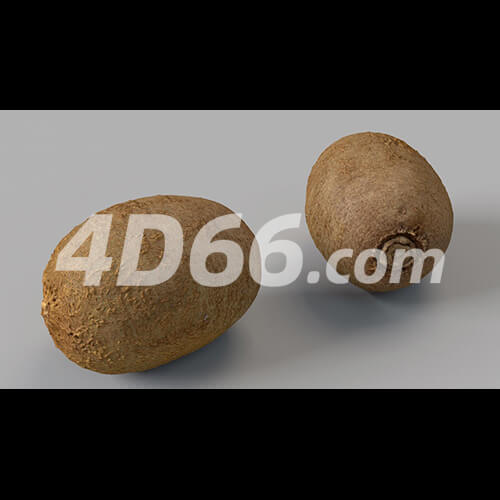 哈密瓜凤梨柠檬苹果牛油果猕猴桃荔枝石榴梨桔子芒果香瓜C4D模型