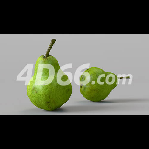 哈密瓜凤梨柠檬苹果牛油果猕猴桃荔枝石榴梨桔子芒果香瓜C4D模型