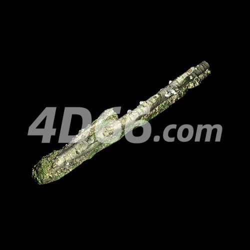 森林中树枝 树干 树墩 石头C4D模型