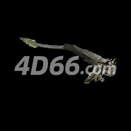 森林中树枝 树干 树墩 石头C4D模型