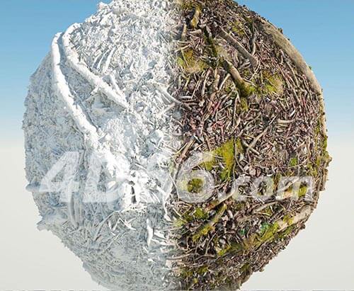 c4d树森林地面落叶4k贴图