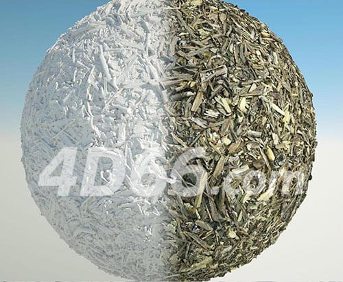 c4d树森林地面落叶4k贴图