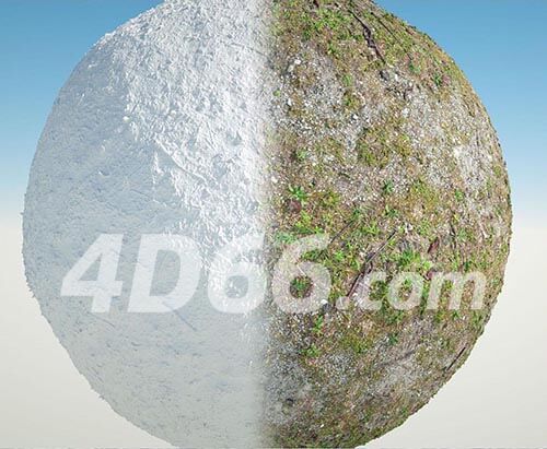 c4d树森林地面落叶4k贴图